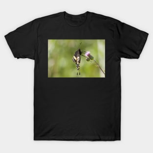 Soca Butterfly T-Shirt